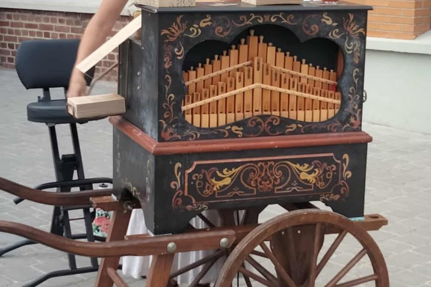 UN ARTISTE UNE RENCONTRE RACHEL BAZOGE