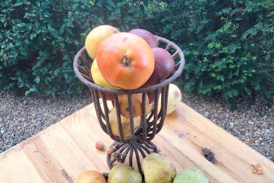 REPORTAGE TERRITOIRE FETE DE LA POMME LES RECOLLETS CASSEL