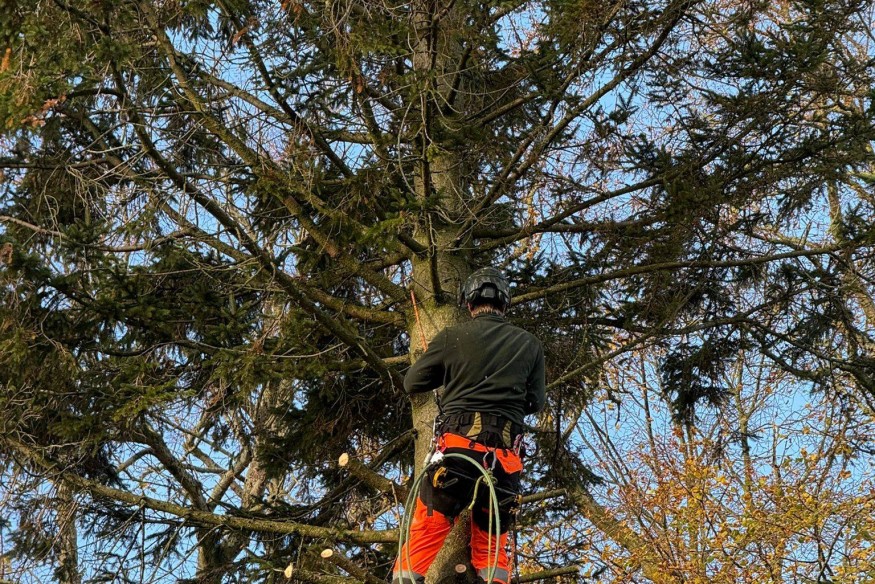 REPORTAGE TERRITOIRE AU PETIT JARDIN FLAMAND CASSEL