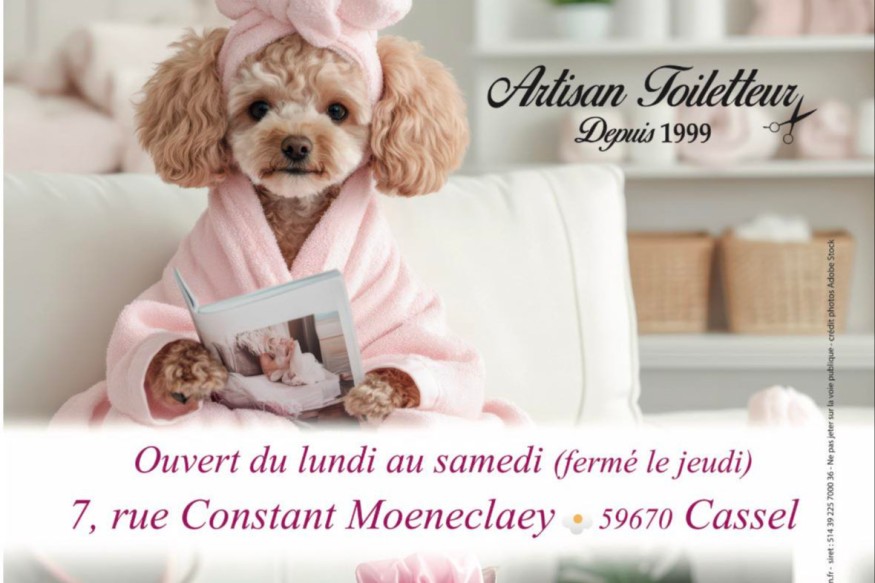 REPORTAGE TERRITOIRE TOILETTAGE DES FLANDRES CASSEL